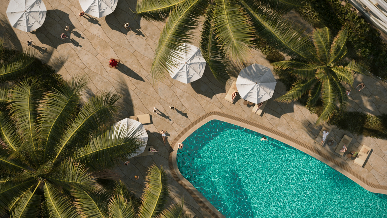 Aerial view of a luxurious Palm Beach pool and patio area with palm trees and guests relaxing.